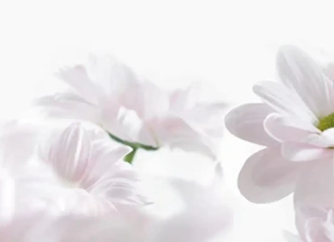 Crédence Décor fleurs